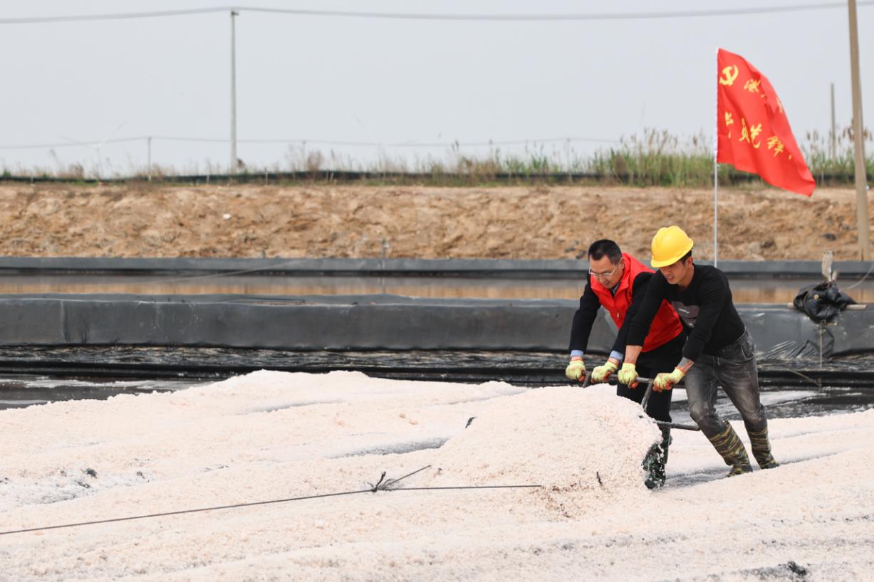 港產黨支部開展&ldquo;鹽話初心 行擔使命&rdquo;2.jpg